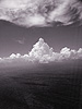 Everglades, Summer 2007