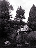 Habitat, National Zoo, Washington, DC, Summer 2008