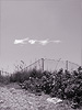 Fence, Briny Breezes, Florida