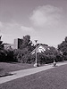 Hobbyist, Berkeley, California, Summer 2007