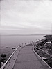 Lowtide, Alameda, California, Spring 2006