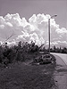 Roadside, Michoud, Louisiana, Summer 2007