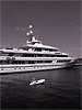 Utopia on Lake Union, Seattle, Washington, Summer 2008